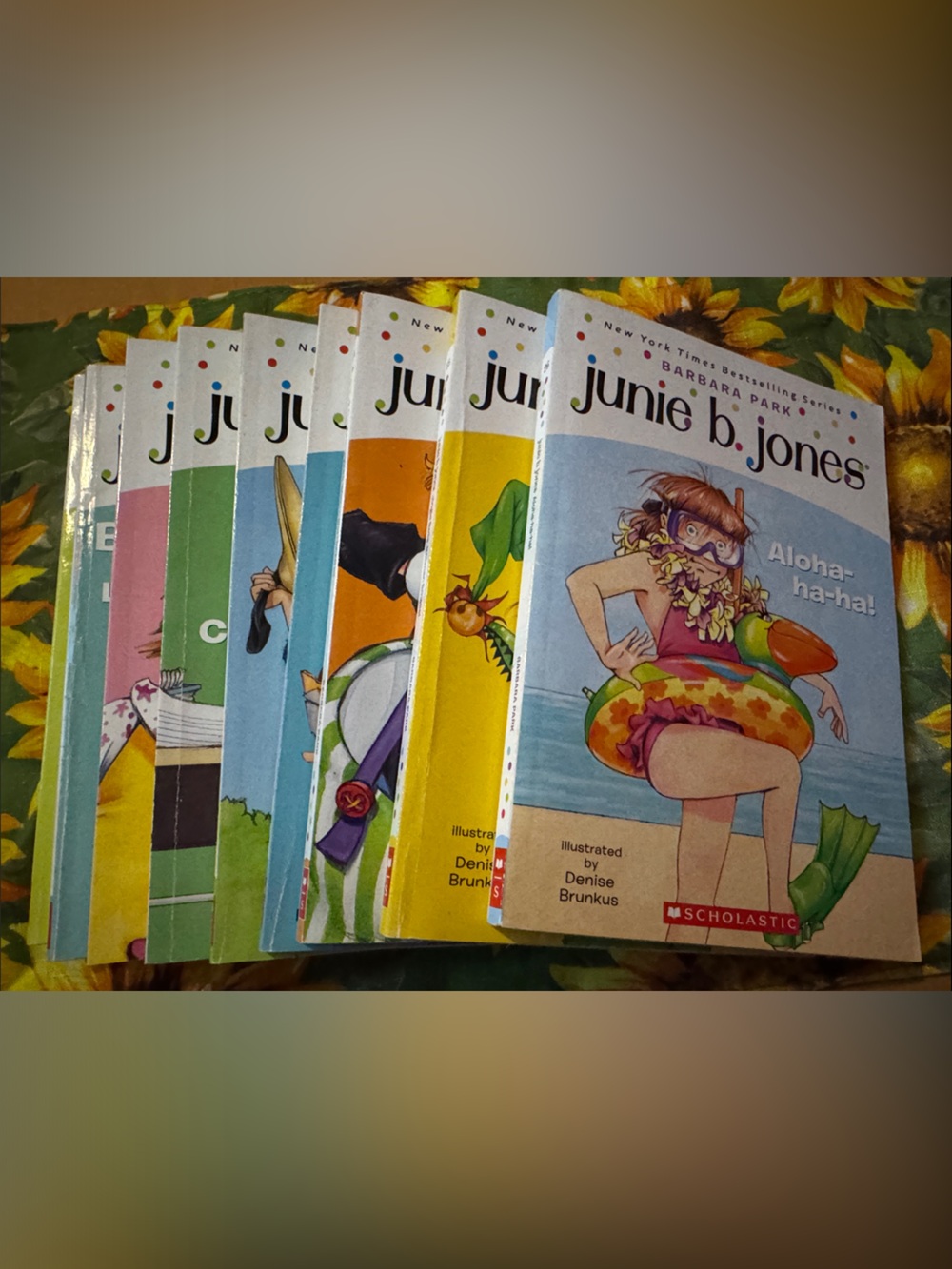 Scholastic Junie B. Jones 9 Book Set 18-26 Barbara Park Classic Series Kids Read